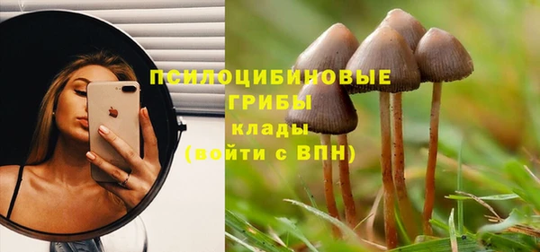 прущая мука Абдулино