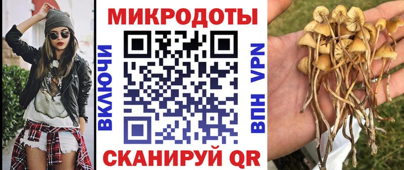 МЕГА маркетплейс  Спас-Клепики  Галлюциногенные грибы ЛСД 