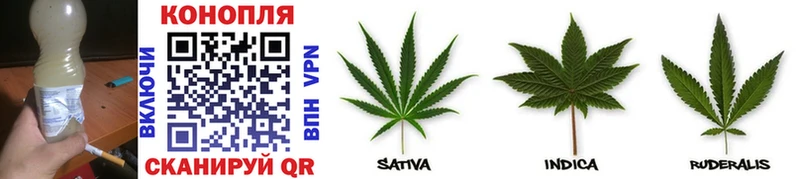 Бошки марихуана Ganja  Спас-Клепики 